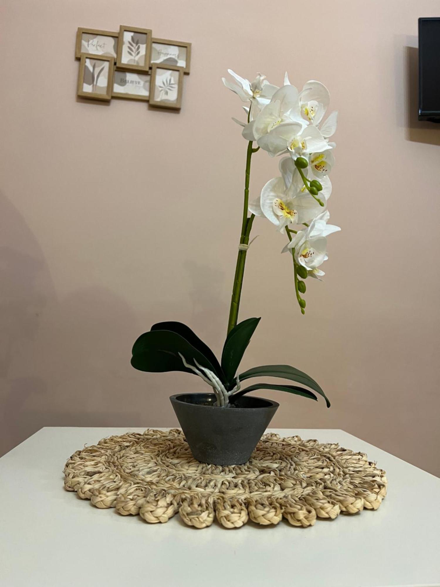 特拉尼 Buongiorno & Benvenuti酒店 外观 照片